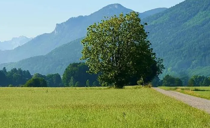 Ferienwohnung Inntalblick Appartement